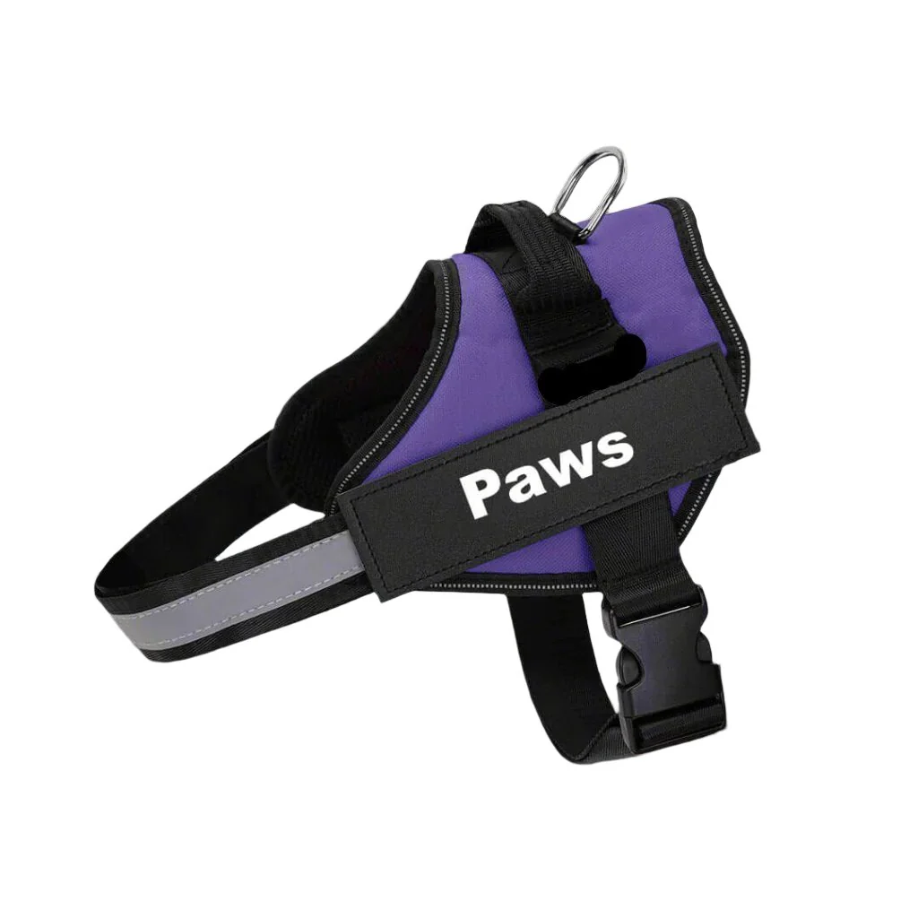 Paws Personalized No-Pull Dog Harness - Image 4