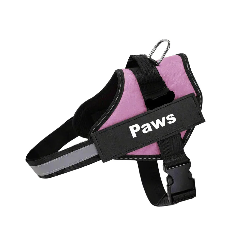 Paws Personalized No-Pull Dog Harness - Image 5
