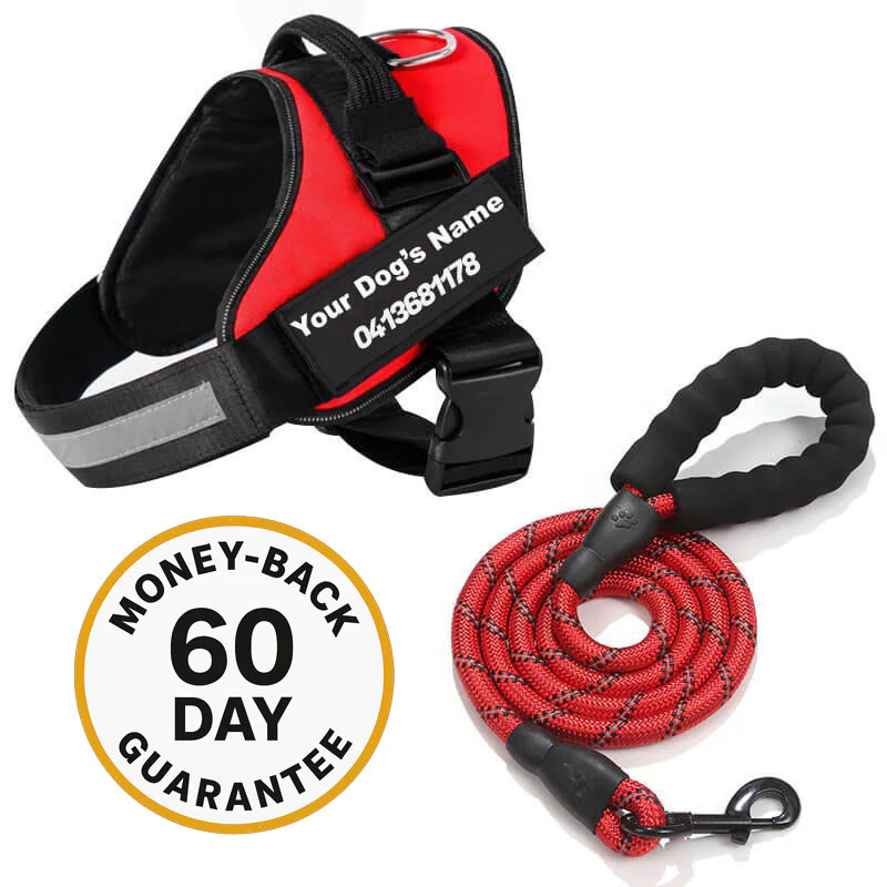 Our Buyers Collection