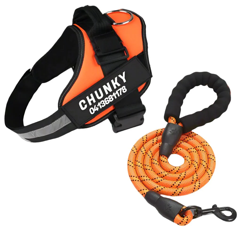 Matching Paws Personalized Dog Harness and Strong Rope Lead Set (XS to 2XL) - Image 3