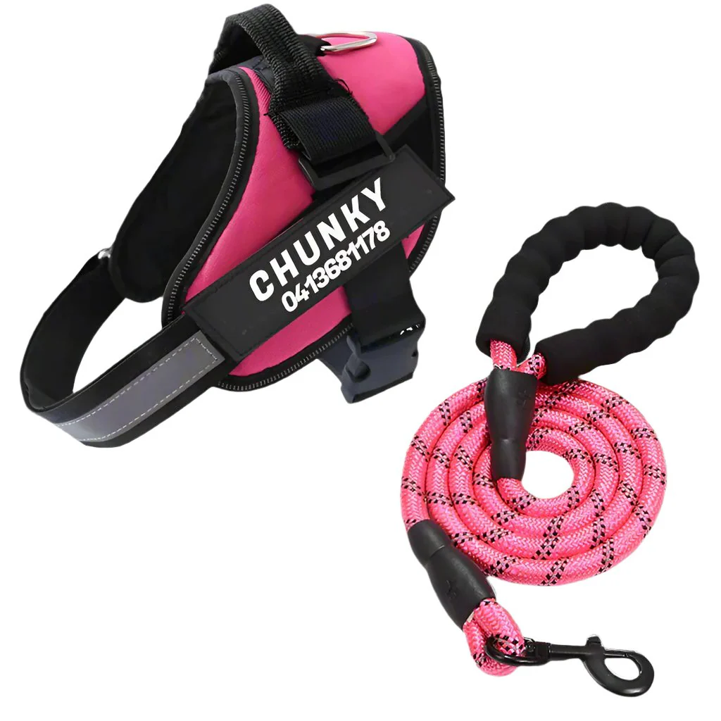Matching Paws Personalized Dog Harness and Strong Rope Lead Set (XS to 2XL) - Image 4