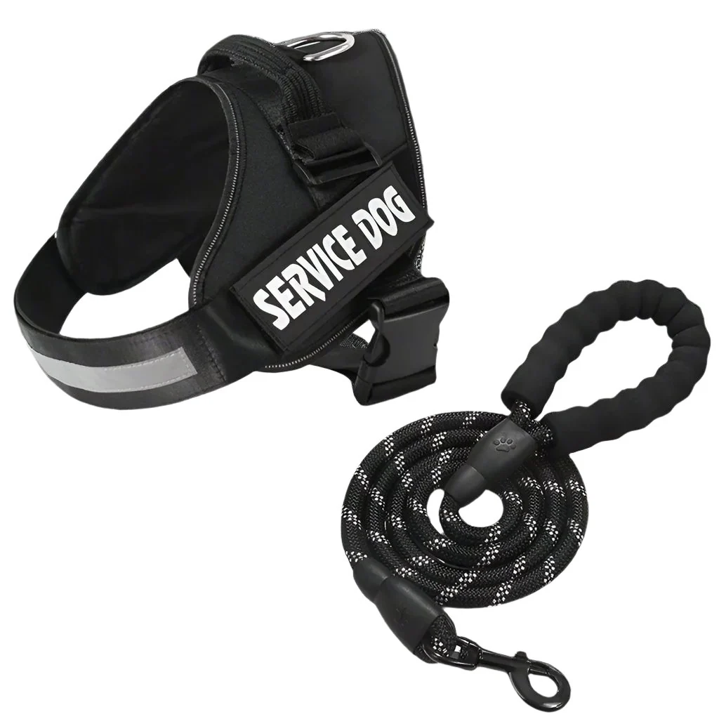 Matching Paws Personalized Dog Harness and Strong Rope Lead Set (XS to 2XL) - Image 5