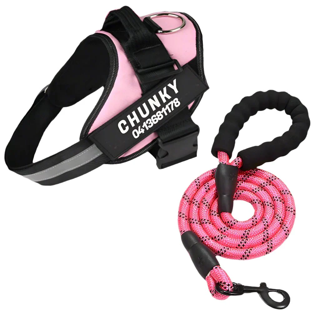 Matching Paws Personalized Dog Harness and Strong Rope Lead Set (XS to 2XL) - Image 8