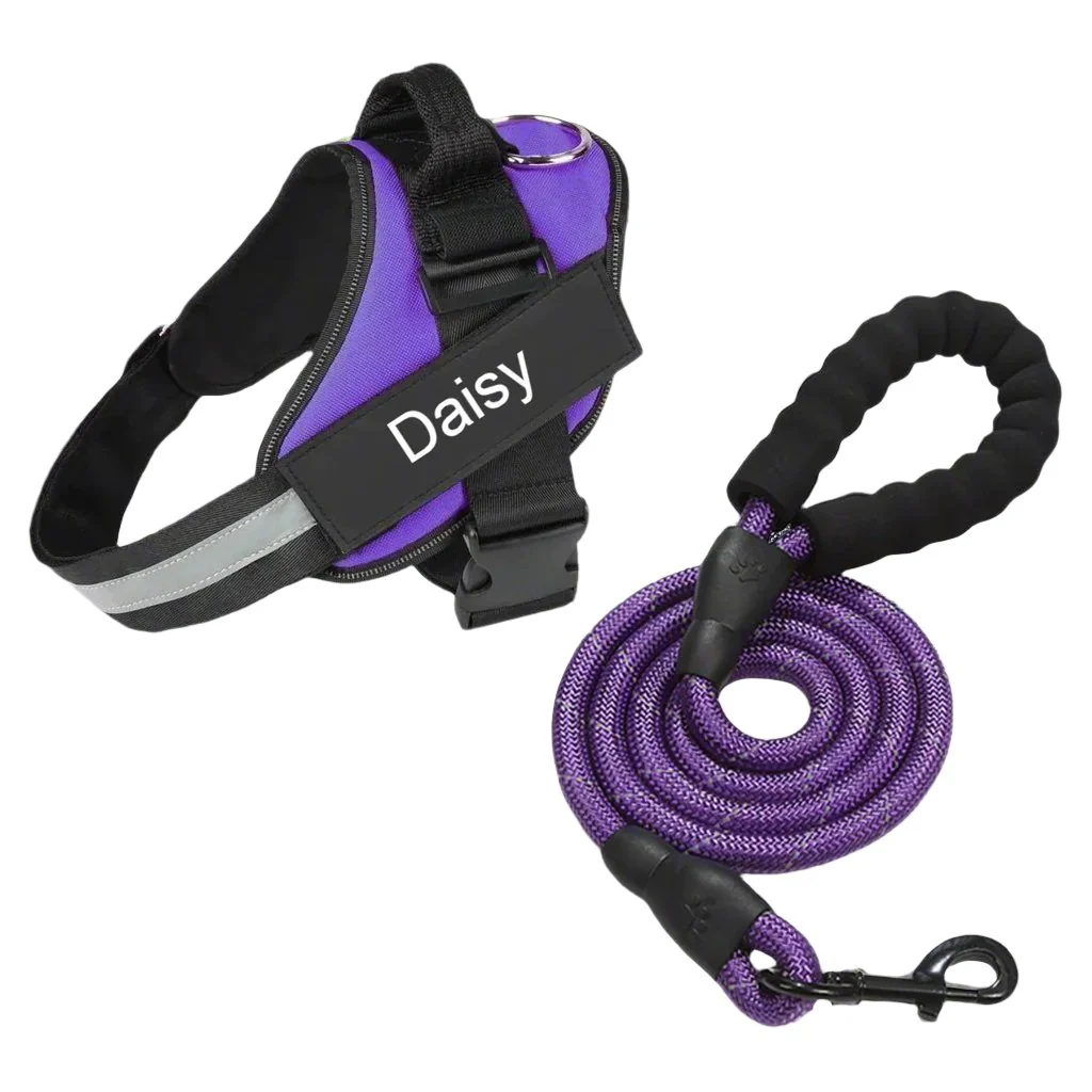 Matching Paws Personalized Dog Harness and Strong Rope Lead Set (XS to 2XL) - Image 9
