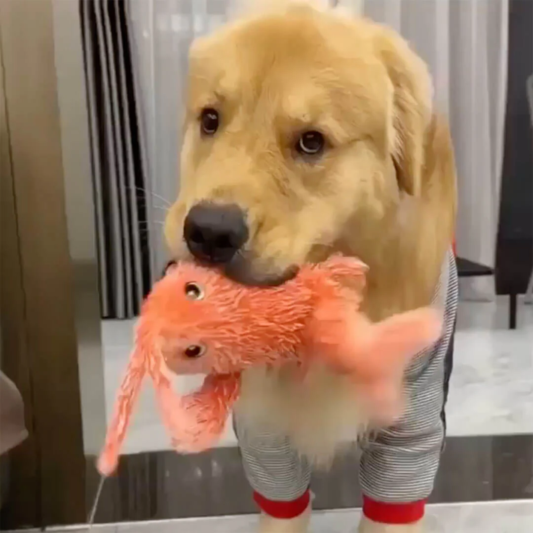 Paws Jumping Lobster Toy - Image 5